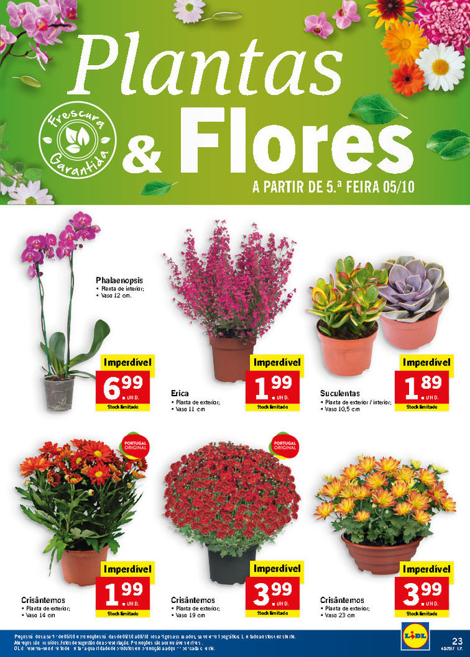 lidl folheto_Page31.jpg