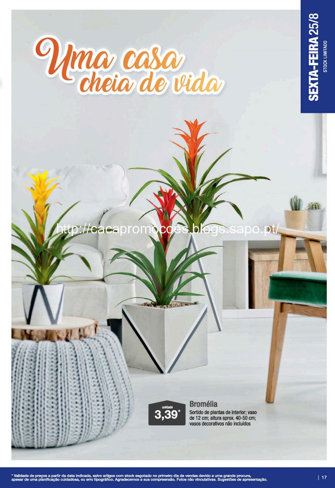 ALDI antevisão folheto_Page17.jpg