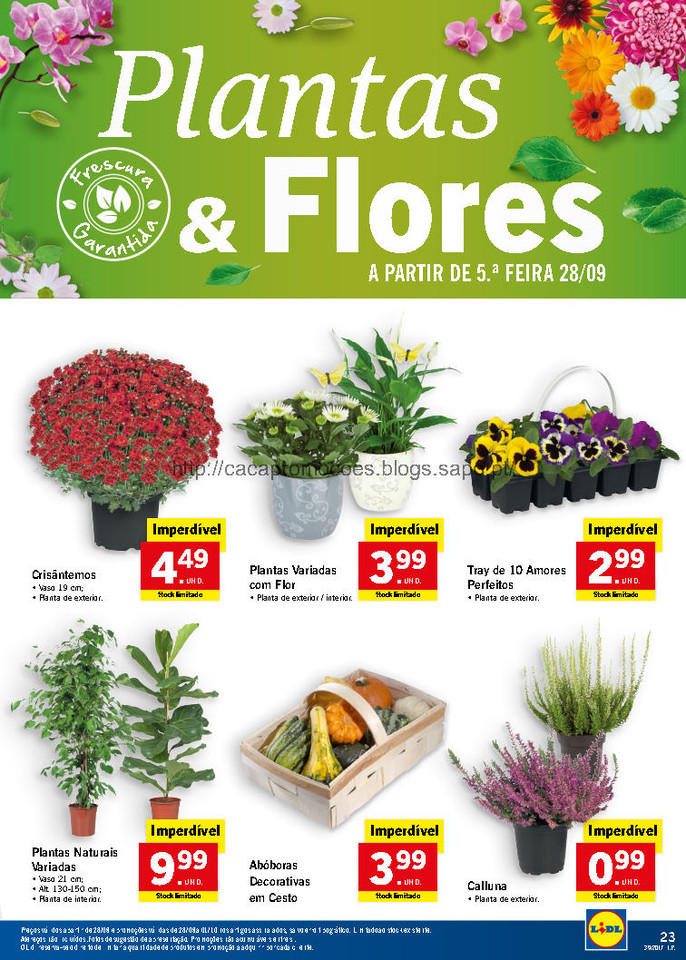 lidl folheto_Page31.jpg