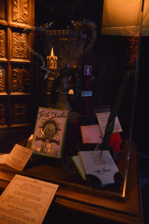 ExpHarryPotter_Mar2020-65.jpg