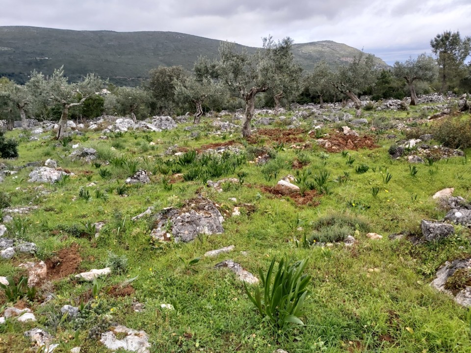 20200225_140011 (1).jpg