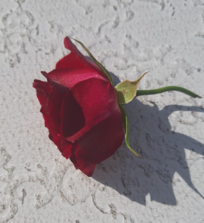 20191120_232452.jpg