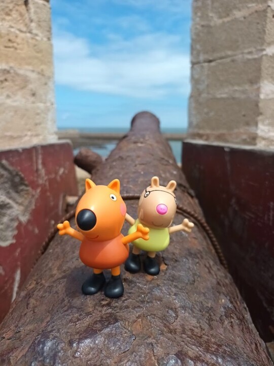 Não me canso disto viagem9i.jpg