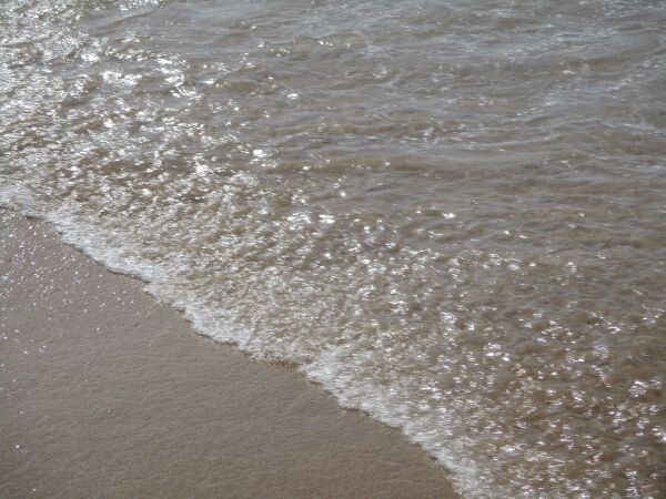 285032167_556412749505025_1752772544105919247_n.jp