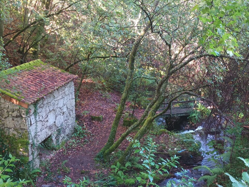Não me canso disto_caminhada9.jpg