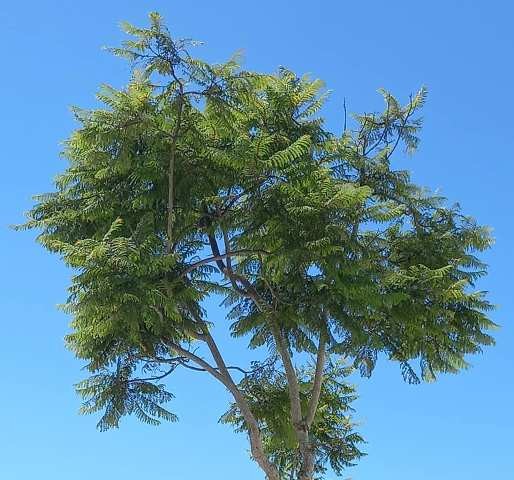 241024094_4215337665248173_7261626953358650492_n.j