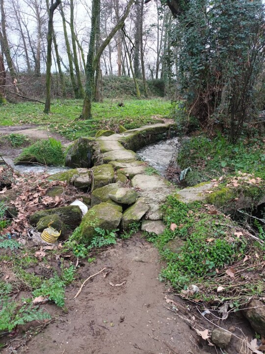 Não me canso disto caminhada6.jpg