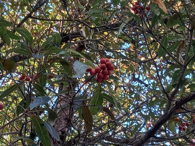 259514535_192468156320063_5029543466382381588_n.jp