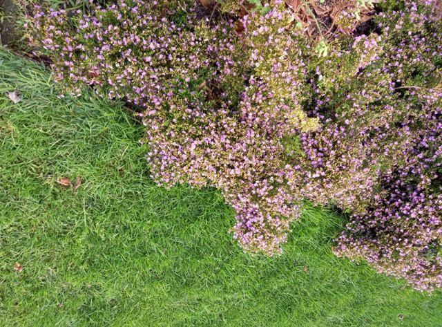 240560946_4230750800373526_1968473770692760015_n.j