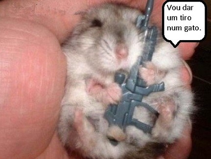 Ratinho.jpg