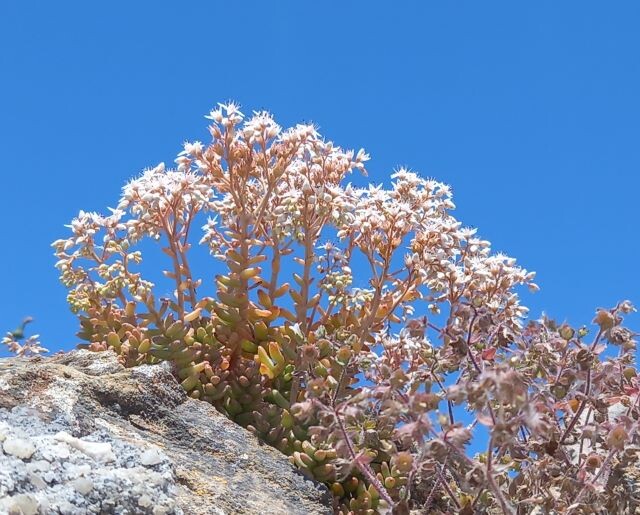 20240510_140457 - Cópia.jpg