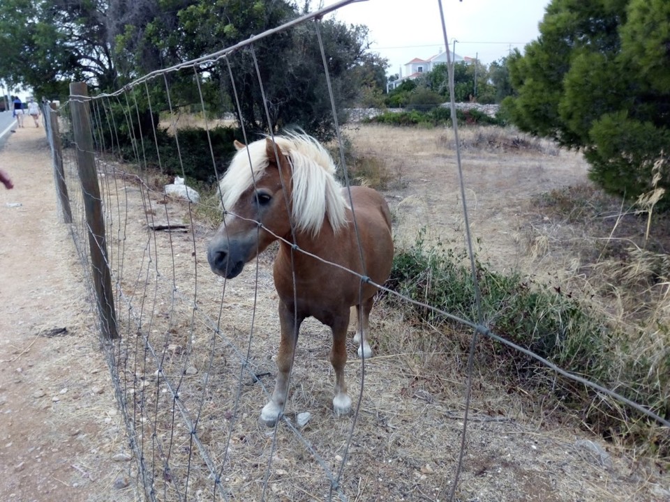 NãoMeCansoDisto_benagil1.jpg