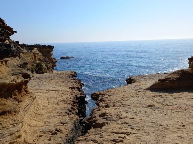 213210582_3019615874969331_8688070747624792348_n.j