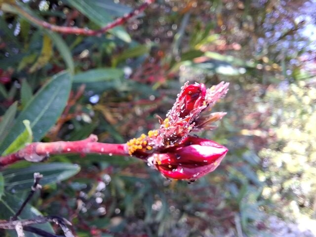 505580479_10014664325315449_7713929569087463733_n.