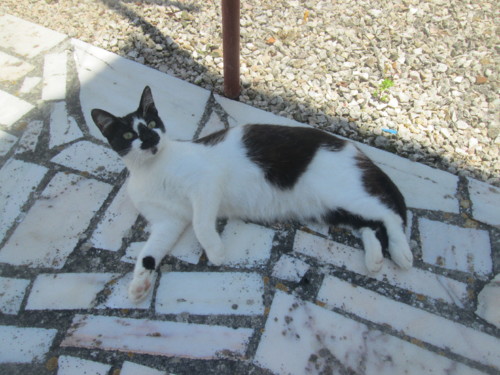 IMG_5914.JPG IMG_5914.JPG