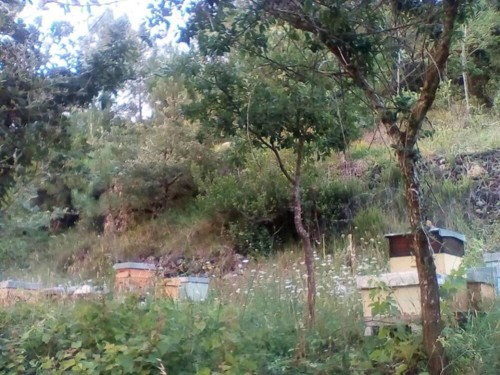 37684253_1738125176302780_4022911547641692160_n.jp