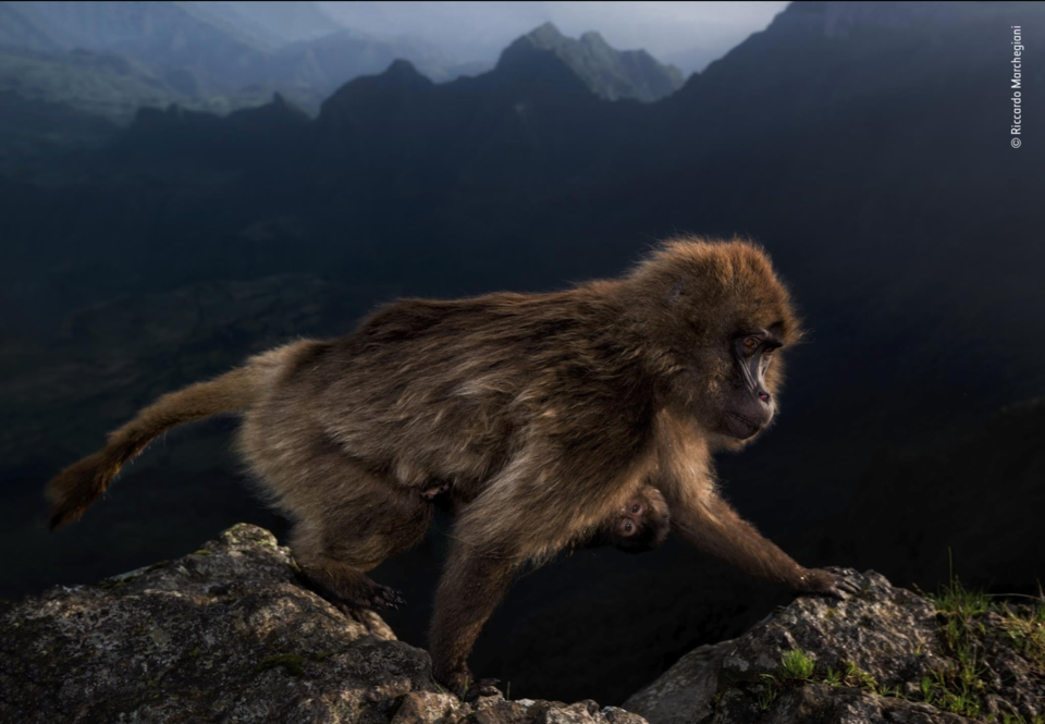 Captura de ecrã 2019-10-17, às 13.19.15.png