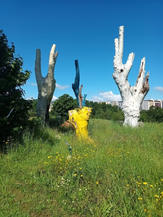 Não me canso disto Famalicão7.jpg