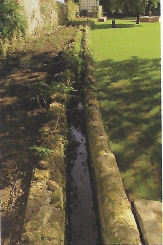 Quinta das Lágrimas cano.jpg Quinta das Lágrimas cano.jpg