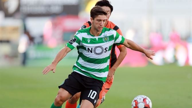 vietto2.jpg
