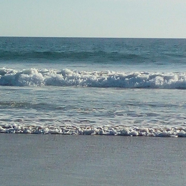 20200524_091232.jpg