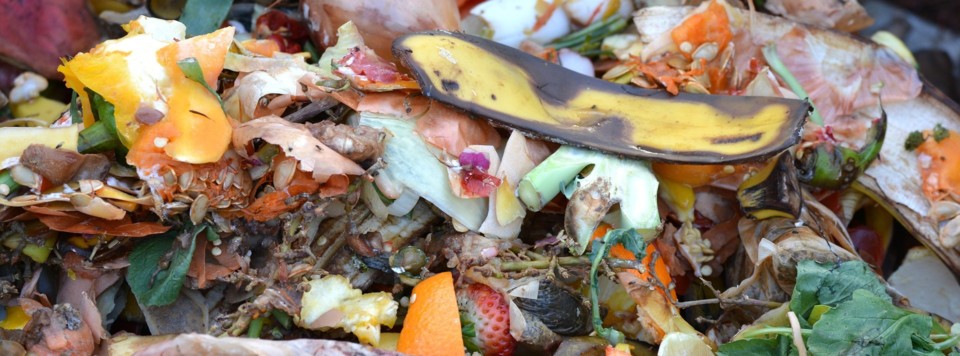 compost-709020_1920.jpg