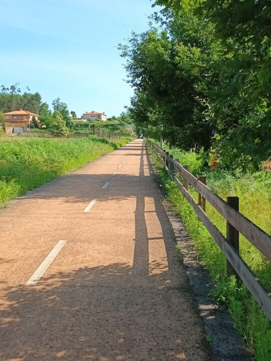 Não me canso disto_Canedo1_1.jpg