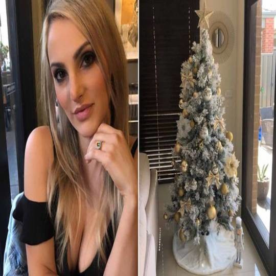 HD Decoradora de árvores de Natal_SAPO.jpg