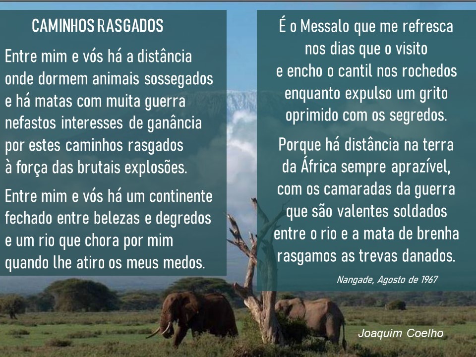 ...Poemas-Caminhos Rasgados.jpg