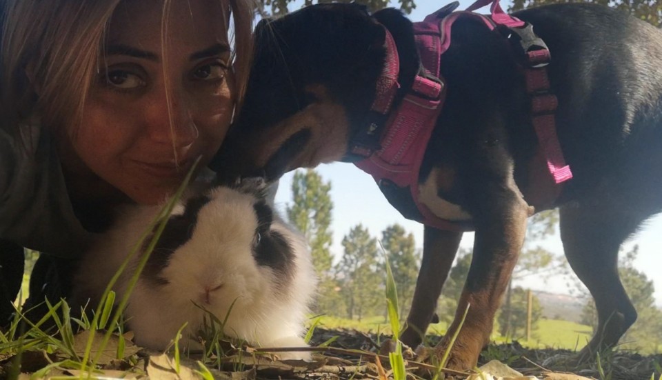 ao longo destes anos_maggie Fluffy Miss sunflower.