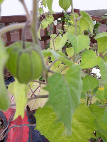 20181102_103700.jpg 20181102_103700.jpg