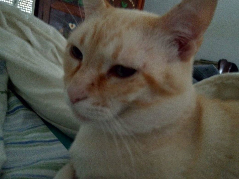 5 anosdo Jonas 1.jpg