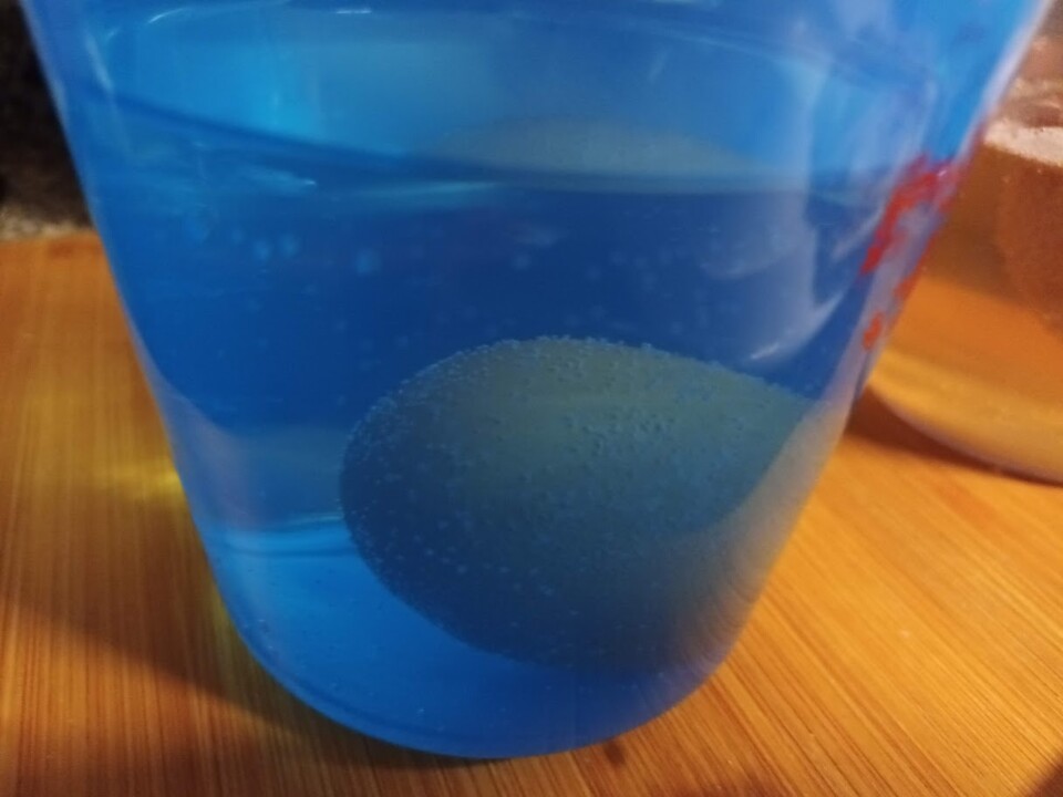 Não_me_canso_Disto_OVOS6.jpg