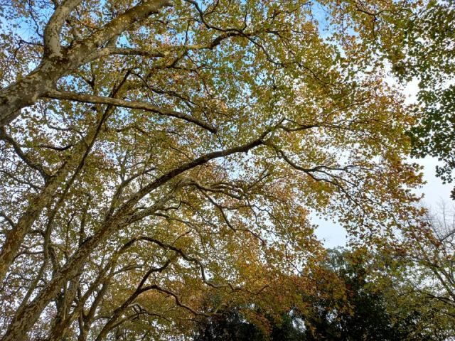 259420732_582661096319347_8797065550511808865_n.jp