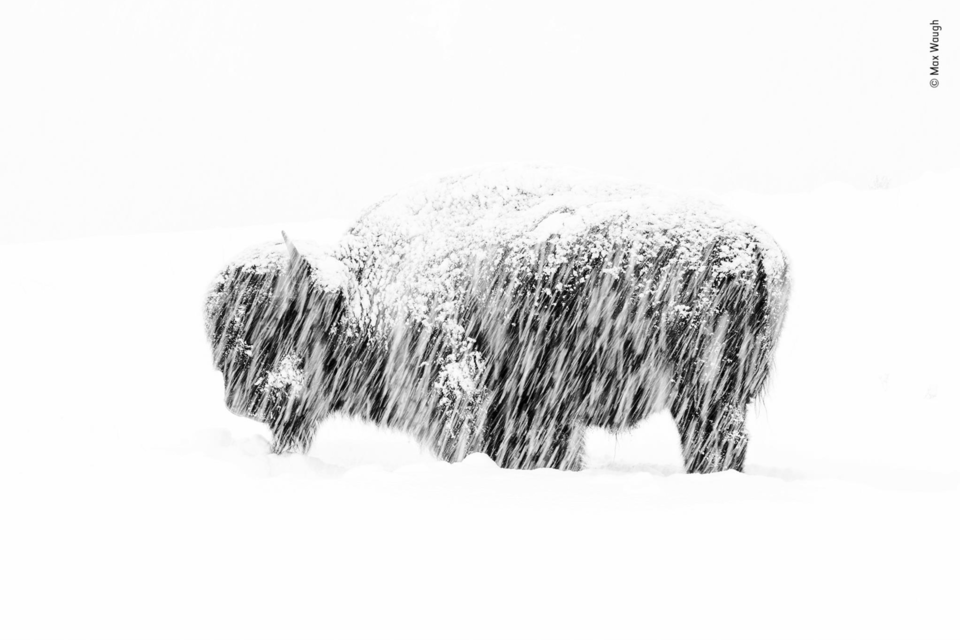 Captura de ecrã 2019-10-17, às 13.25.10.png