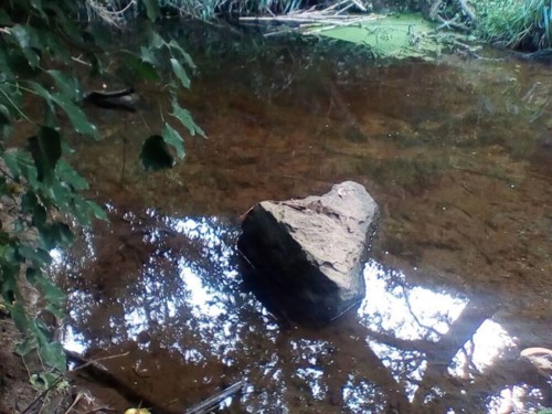 37708272_1738125189636112_8654513965075791872_n.jp