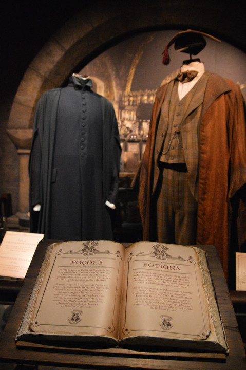 ExpHarryPotter_Mar2020-18.jpg