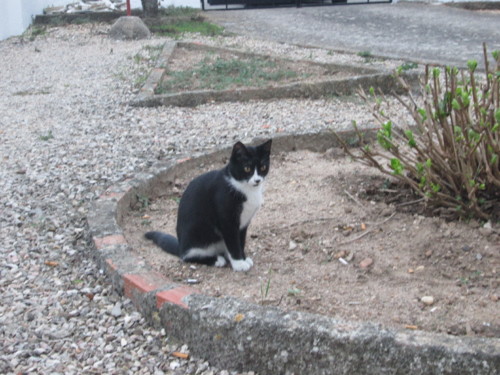 IMG_4891.JPG IMG_4891.JPG