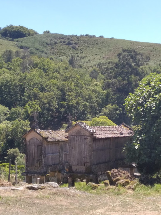 não_me_canso_disto_gerês9.jpg