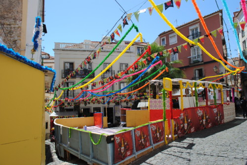 DSC_0471.JPG