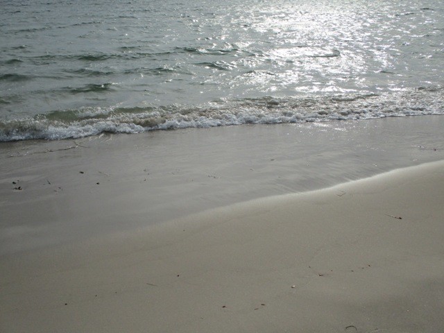 240466832_1229471474191871_3905632189079577784_n.j