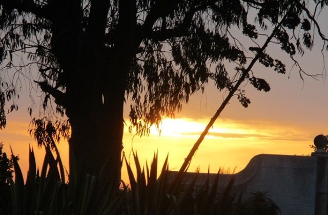 119103395_3223284384453511_3446062176319406356_n.j