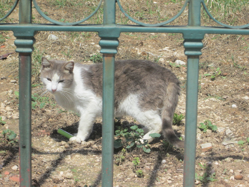 IMG_7394.JPG IMG_7394.JPG