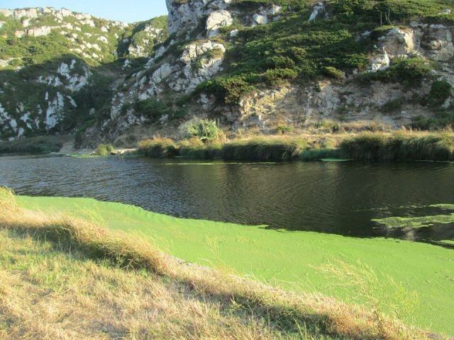 42446486_1832585423523421_1741519340567527424_o.jp