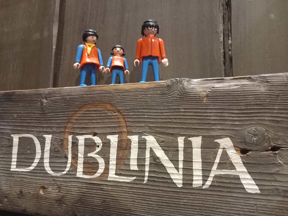 dublinia.jpg