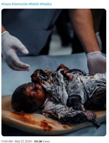 gaza6.jpg