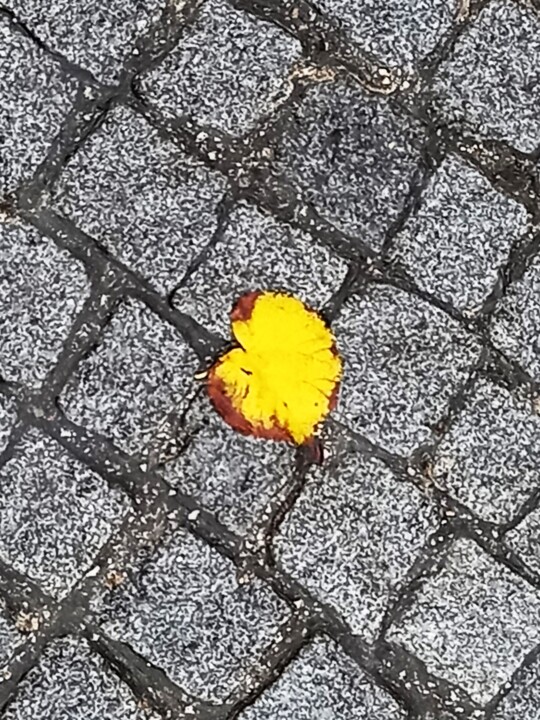 20231130_085730 - Cópia.jpg