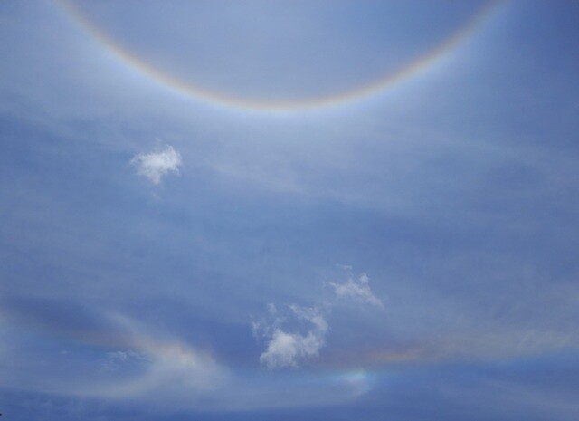 20230529_135319 - Cópia.jpg