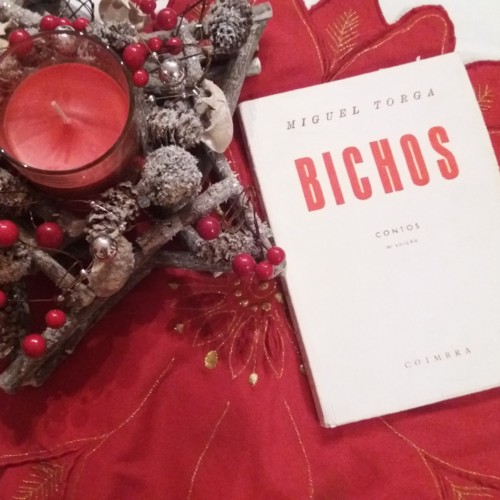 IMG_20171218_105125_866 (1).jpg