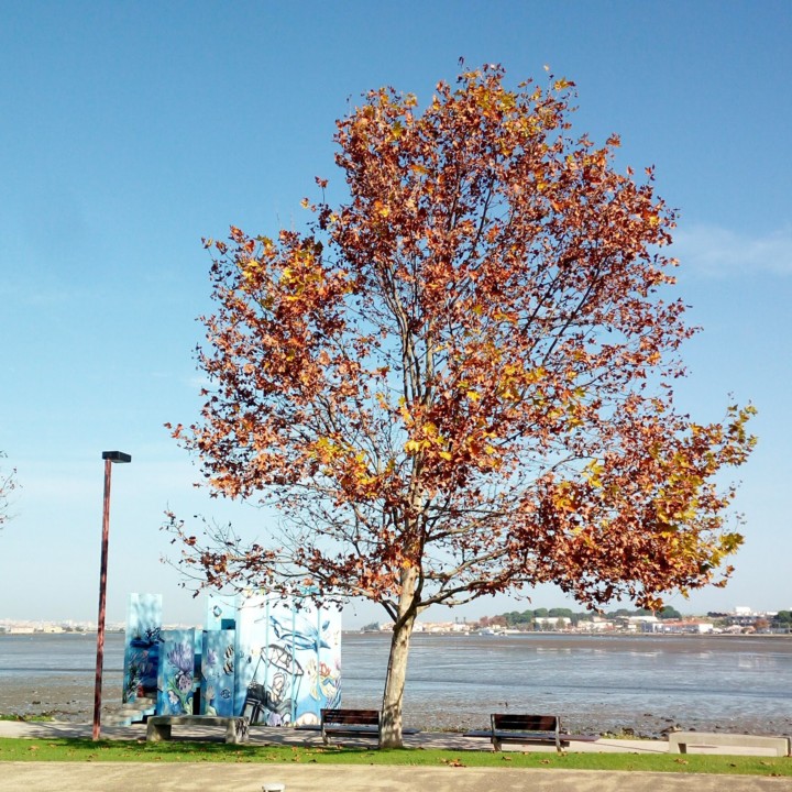 20201122_084034.jpg